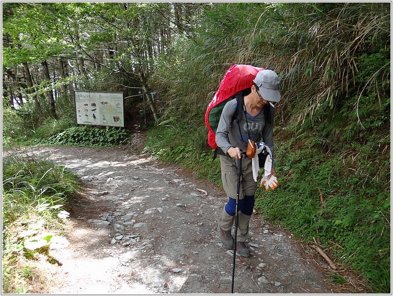 2014-07-13 14-43-29往向陽山屋途中.JPG